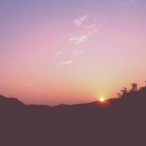 黄色午夜小黄片导航
